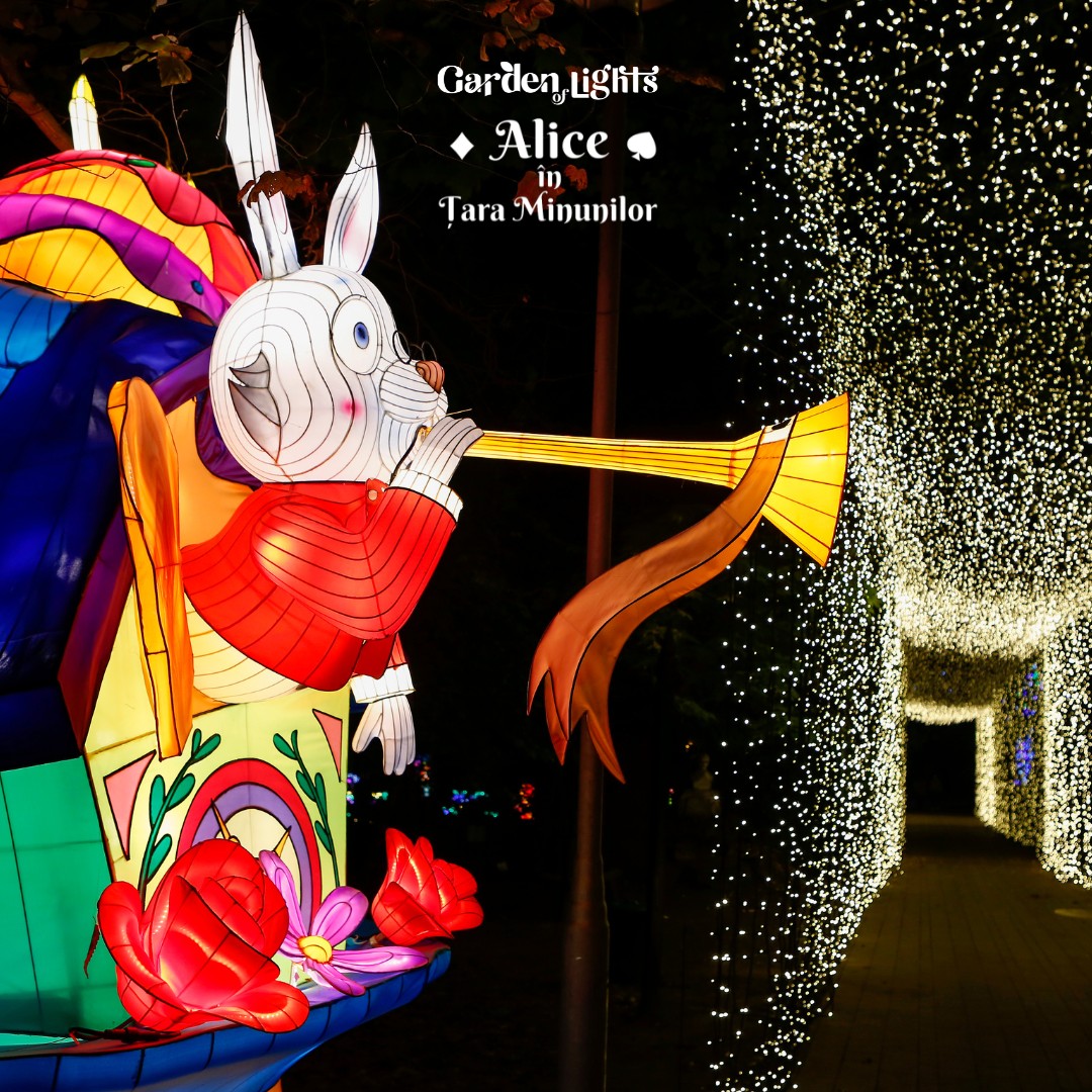 398356916 122131480586034947 5404003955980309982 n