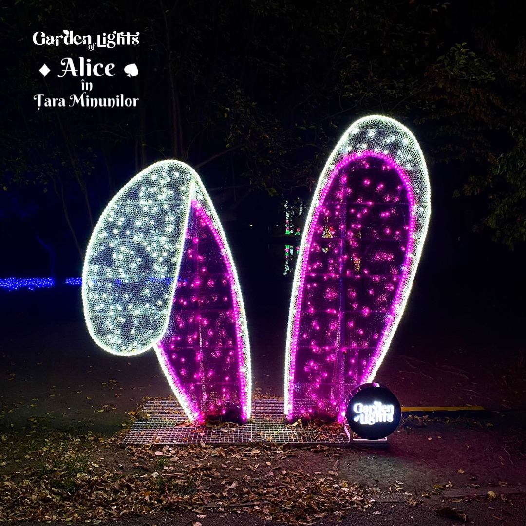 expoziția multimedia „Grădina Luminilor”