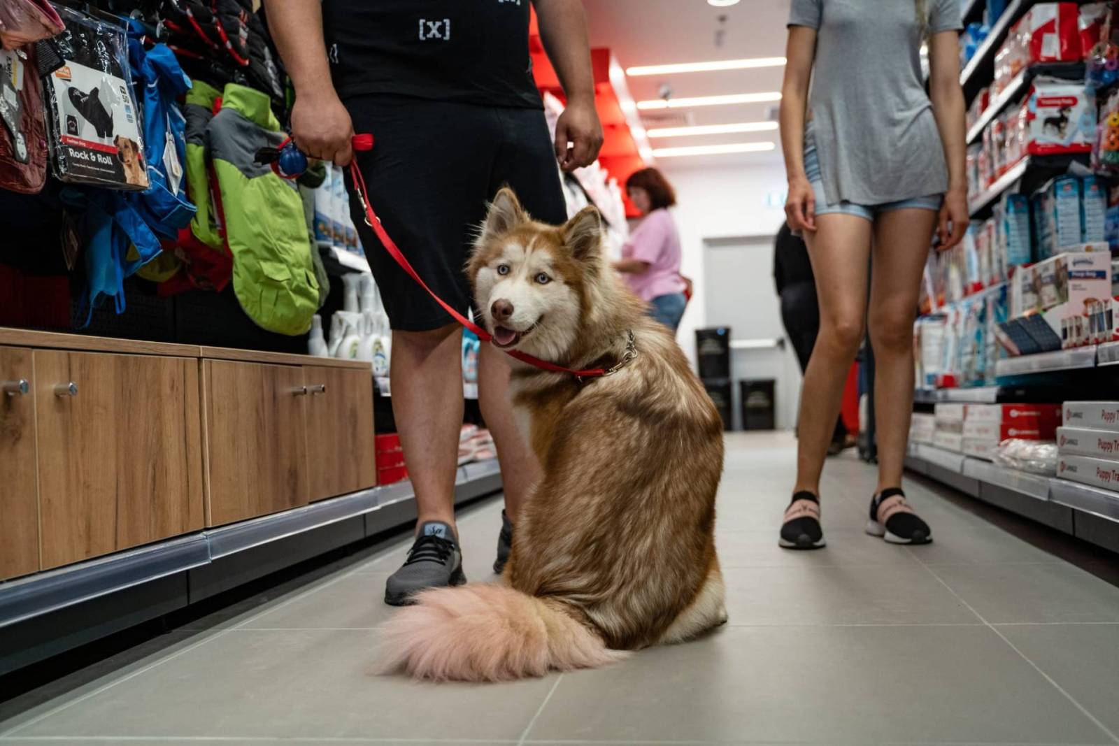 Maxi Pet se extinde în România, după o investiție de 250.000 de euro