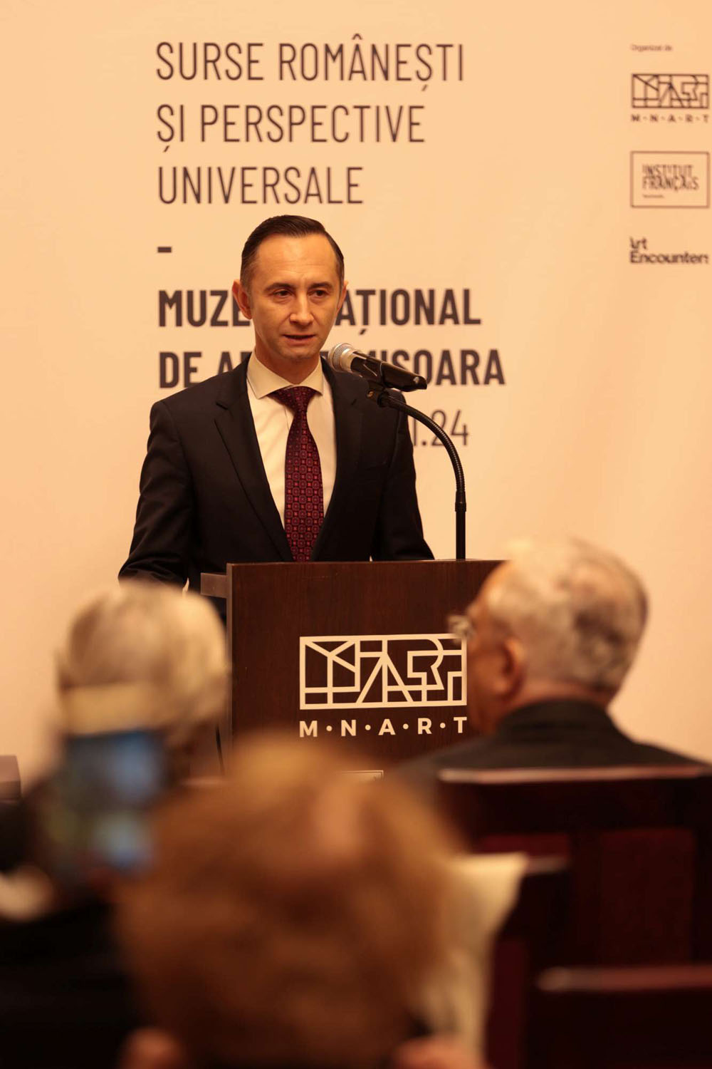 Expozitia Brancusi Alin Nica