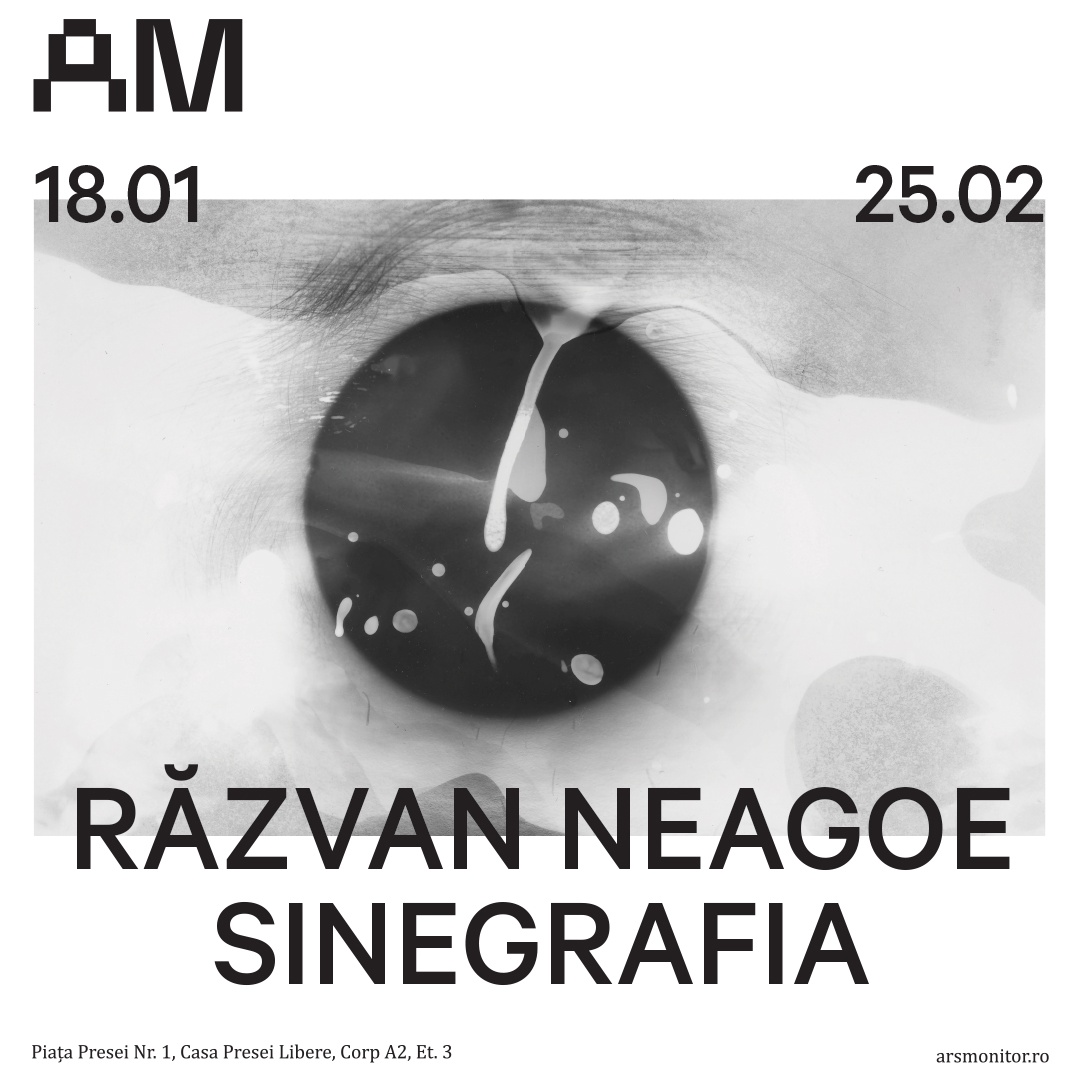 Prima expoziția a anului 2024 din programul curatorial al galeriei Arsmonitor este totodată și un prim solo-show dedicat artistului vizual Răzvan Neagoe, unul din artiștii reprezentați de galerie