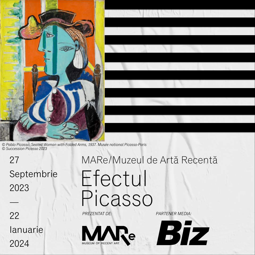 SM Post Effectul Picasso x Partener fdb 8 BIZ