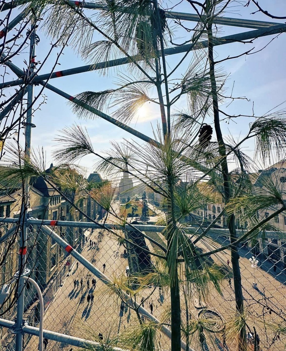 TM2023 Pepiniera. 1306 plante pentru Timisoara