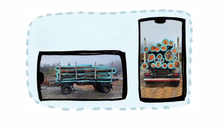 Amprenta-digitala a transporturilor de lemn