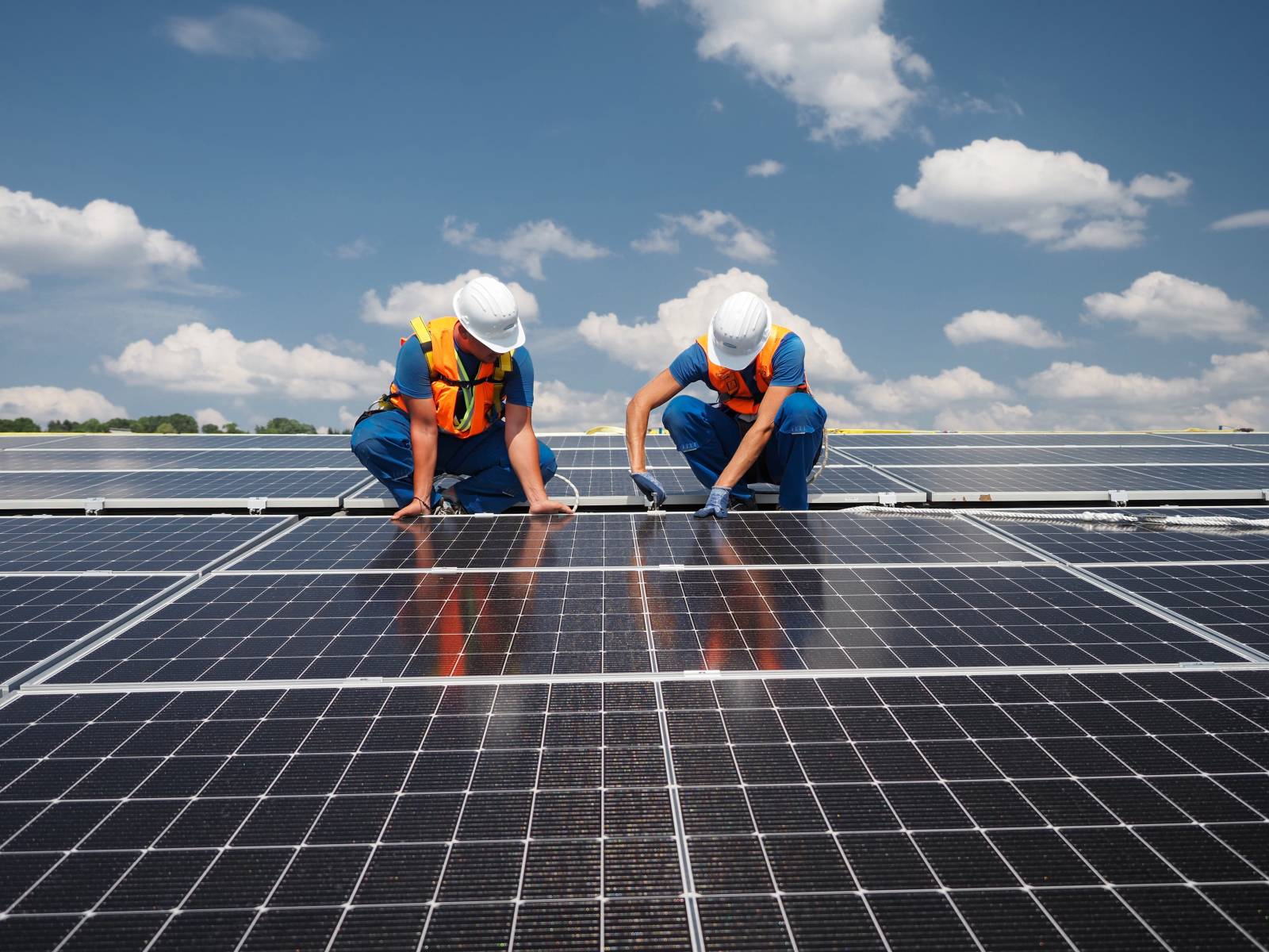 Află cum eficientizezi costurile afacerii tale cu soluțiile personalizate de panouri fotovoltaice de...