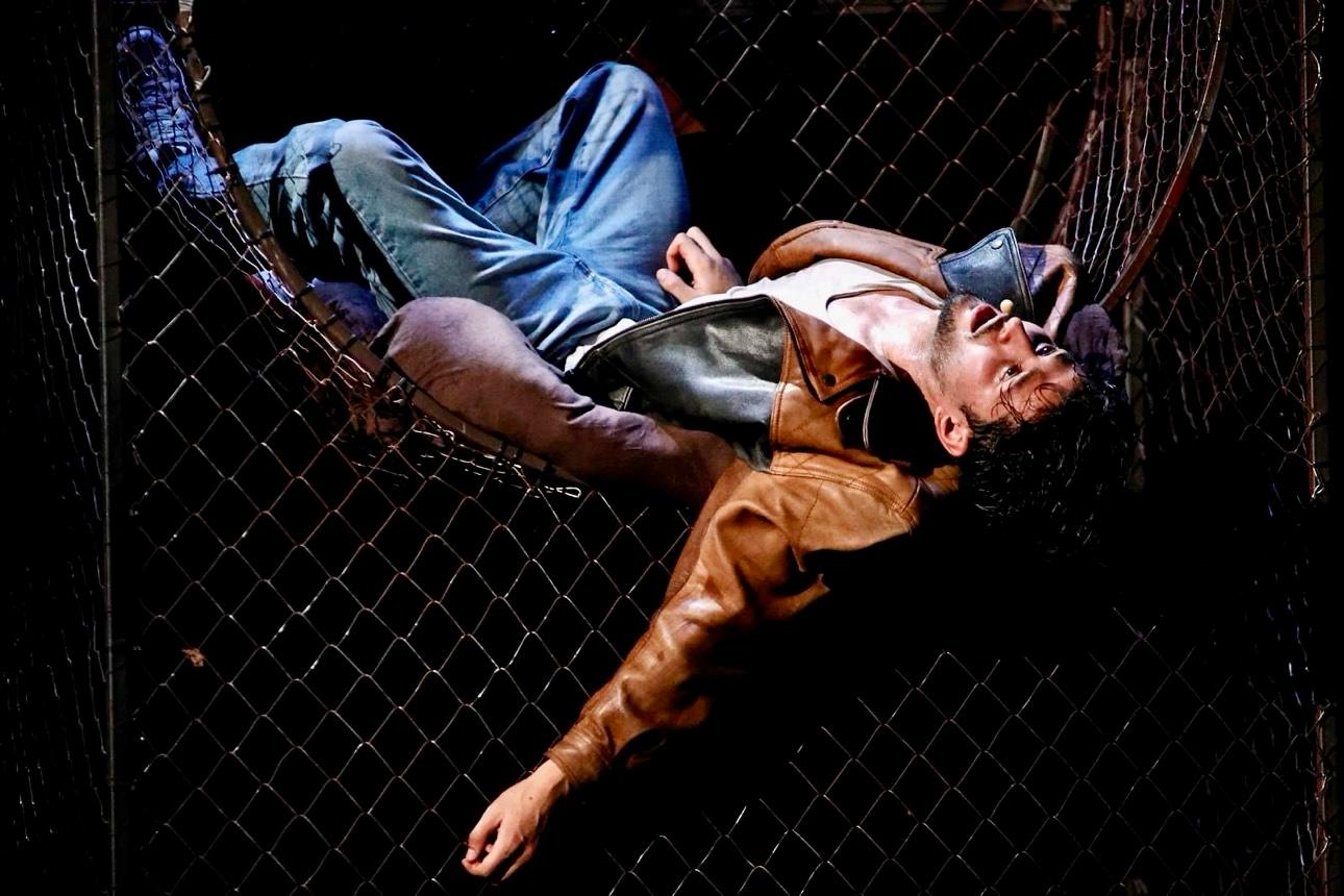 marin lupanciuc exod 1