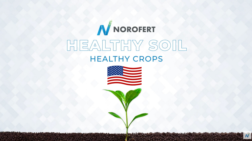 Norofert