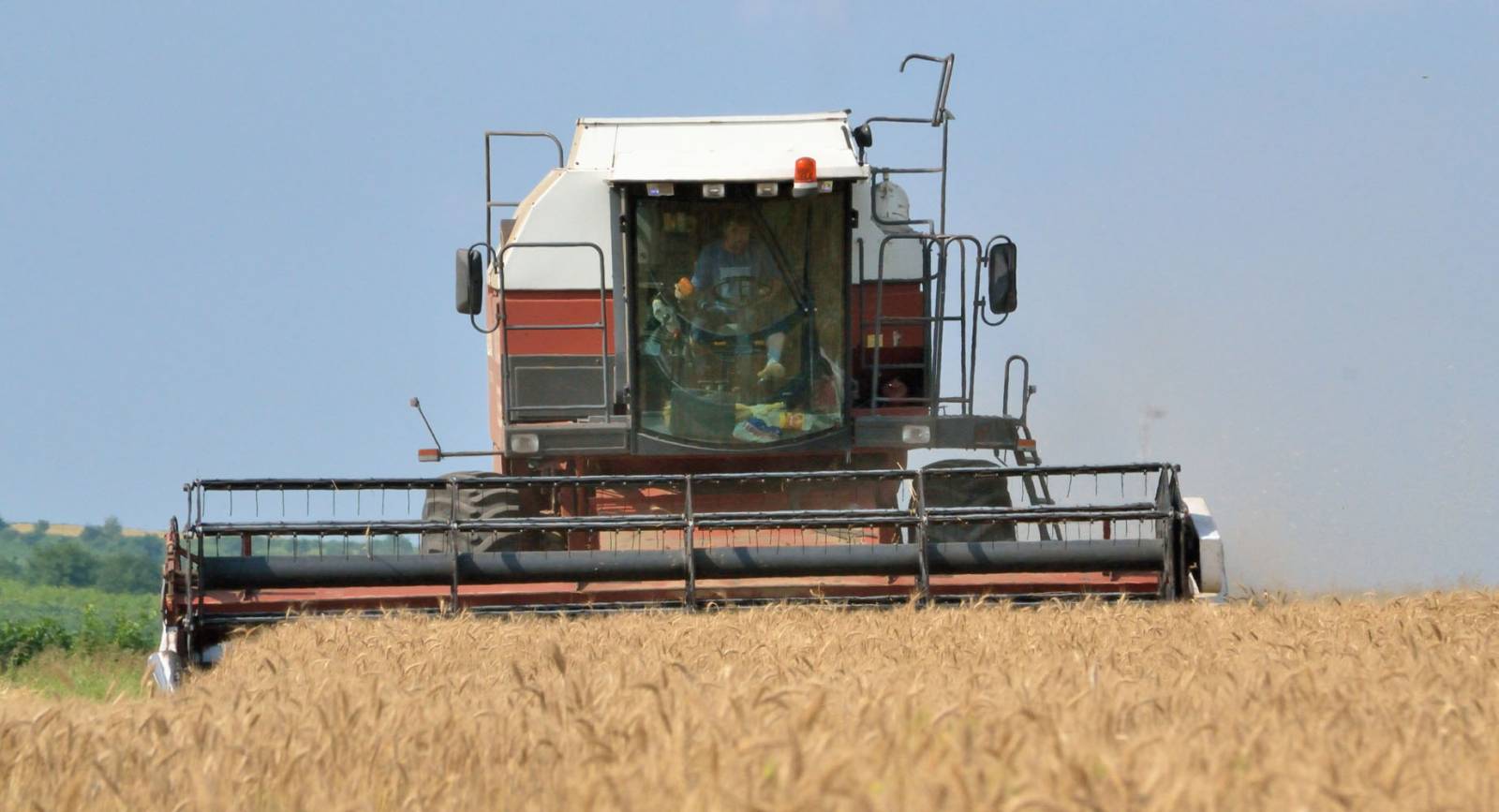 agricultură-RodBun