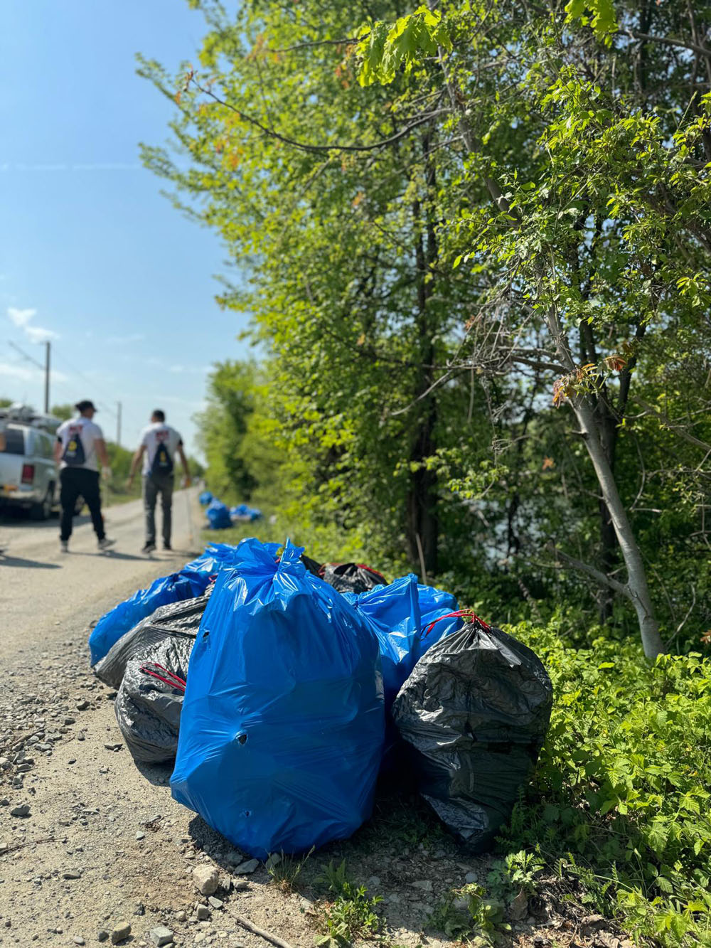 Sarantis România și Let’s Do It România au continuat și în 2024 Sarantis GO, eveniment de colectarea deșeurilor din spațiile publice 1 Sarantis GO colectare deseuri Mogosoaia