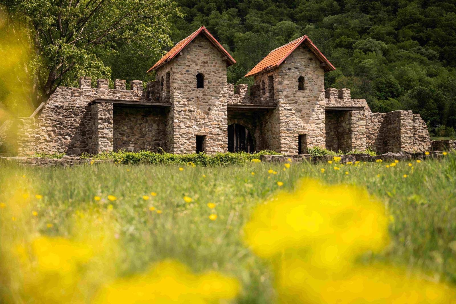 S-a lansat România Atractivă, cea mai complexă platformă multimedia de promovare a turismului cultural 3 Castrul Roman Arutela