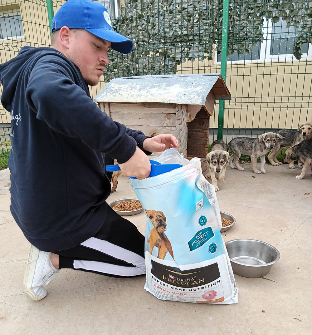 Nestle Purina donatie animale abandonate 2