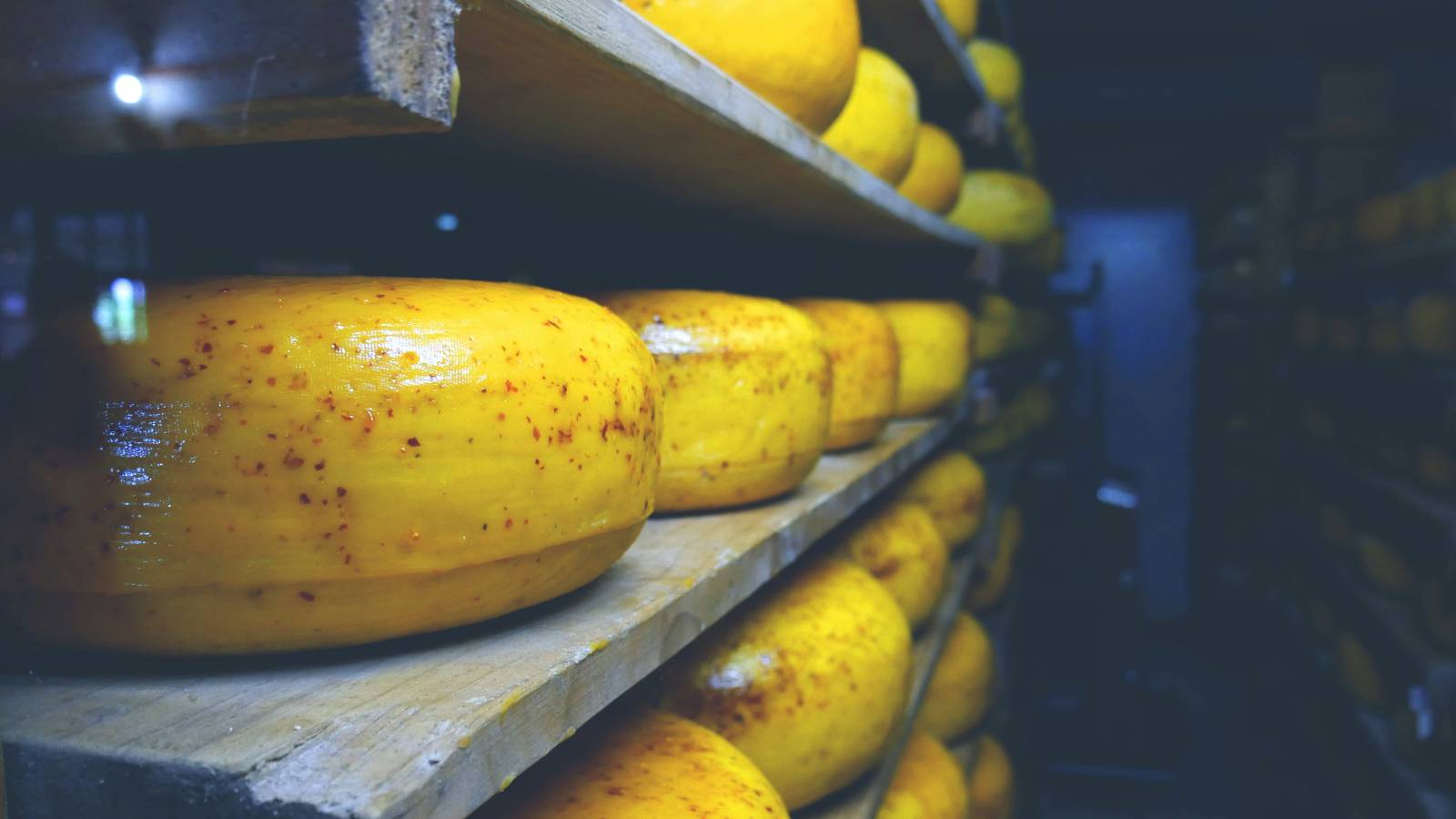 România a devenit a 15-a piață de desfacere a Italiei, la nivel mondial, pentru produse agroalimenta...
