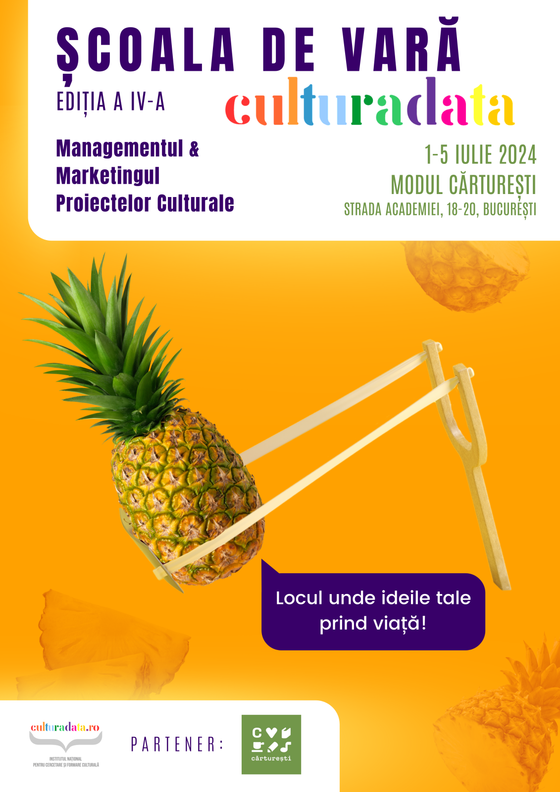 Provocările și oportunitățile din domeniul managementului și marketingului cultural – dezbătute la Școala de Vară Culturadata