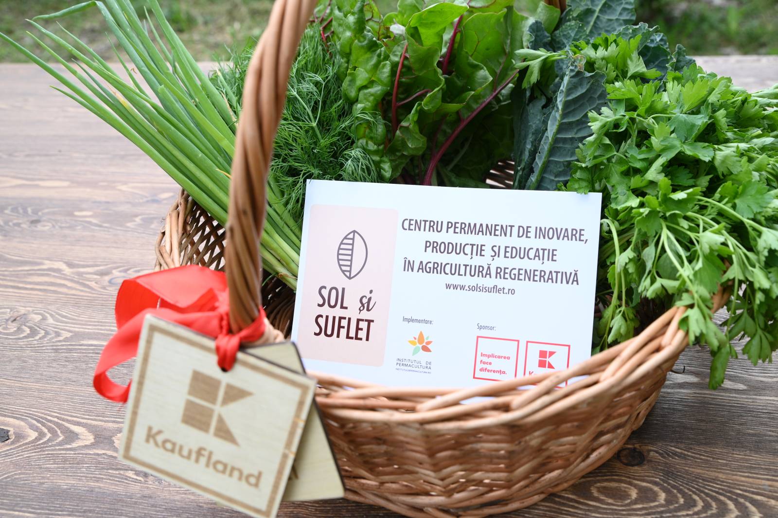 Cum ajungi pionier în agricultura regenerativă 2 Cos Sol si Suflet