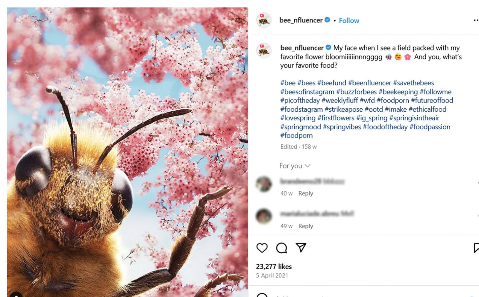 bee nfluencer instagram