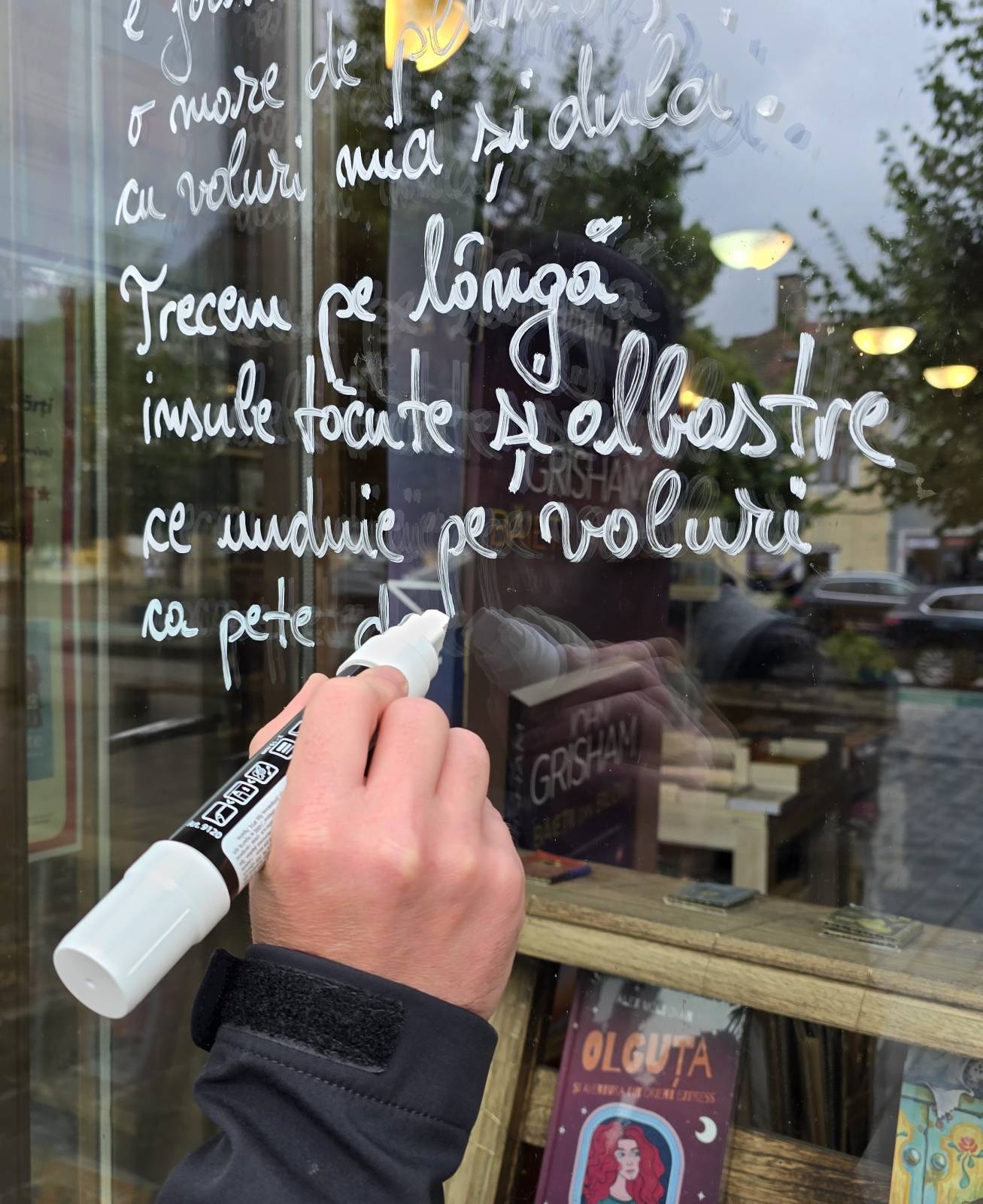 proiectul „Geamul cu poezie” din Cluj