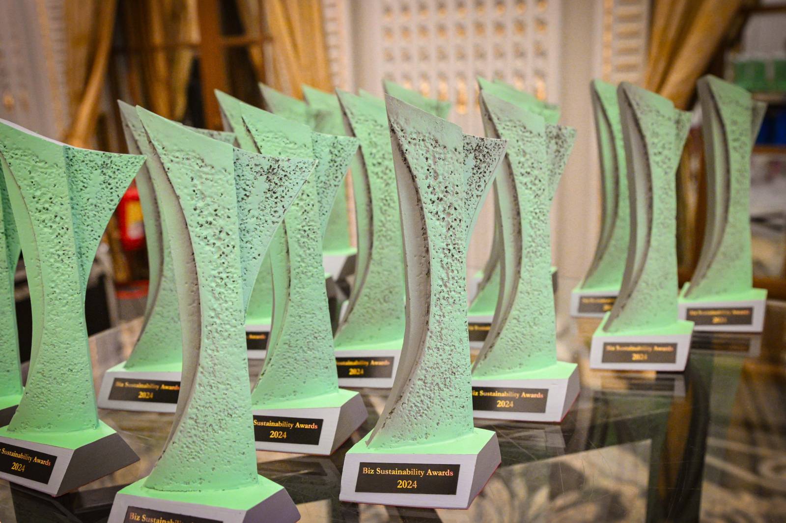 Liderii care investesc în comunitățile din România, premiați la gala Biz Sustainability Awards 2024