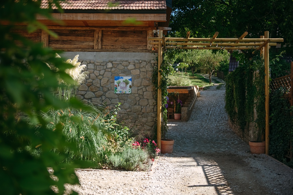 Sandra Logofătu, PurpleVague: Slow travel, la poalele Munților Leaota 4 foto4