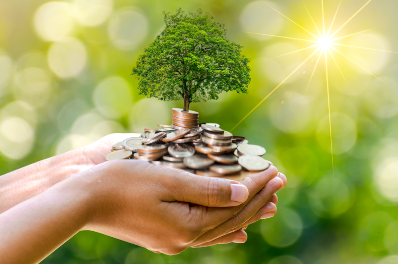 Studiu Deloitte: 2024, un an bun pentru investiții