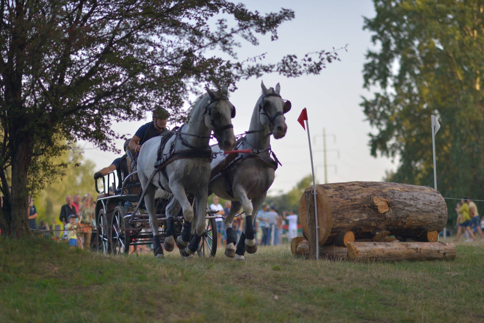 Karpatia Horse Show 2024, spectacol ecvestru la cel mai înalt nivel pe Domeniul Cantacuzino