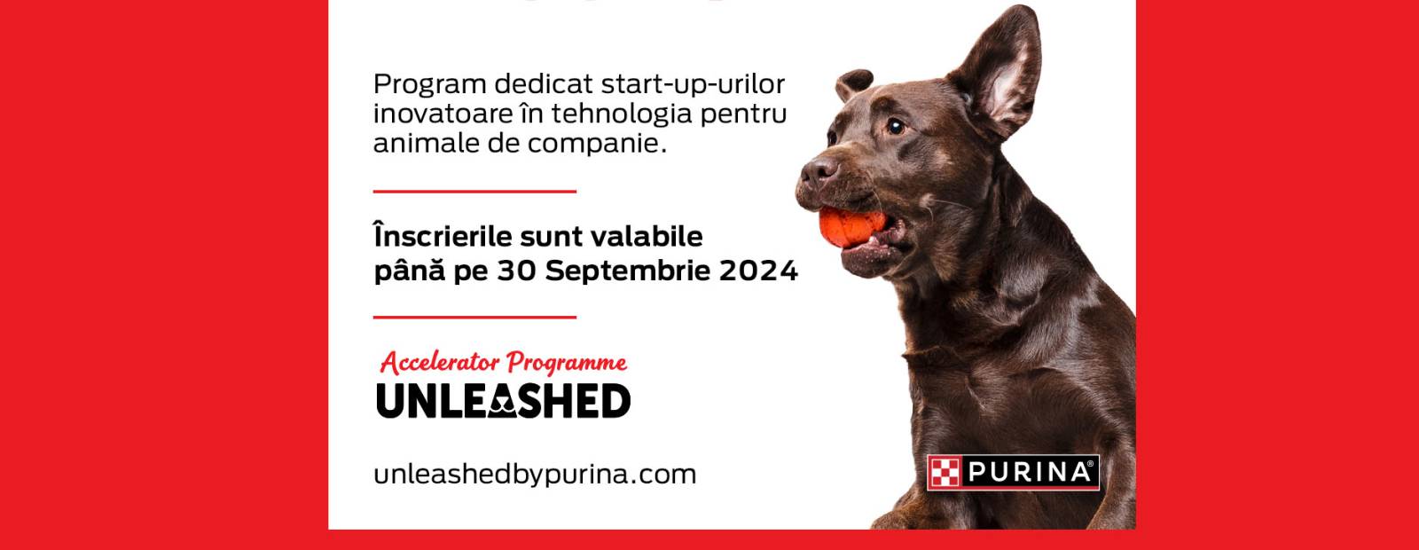 Purina Unleashed