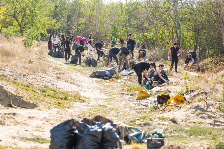 Let's Do It, Romania! 2024