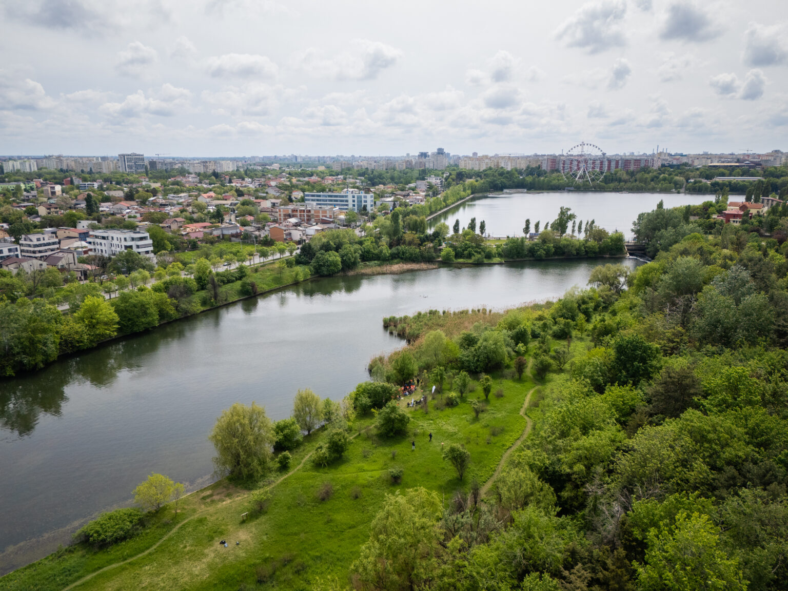 Pajiștea Petricani a fost declarată arie naturală protejată