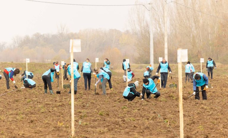 Fiecare copac o schimbare