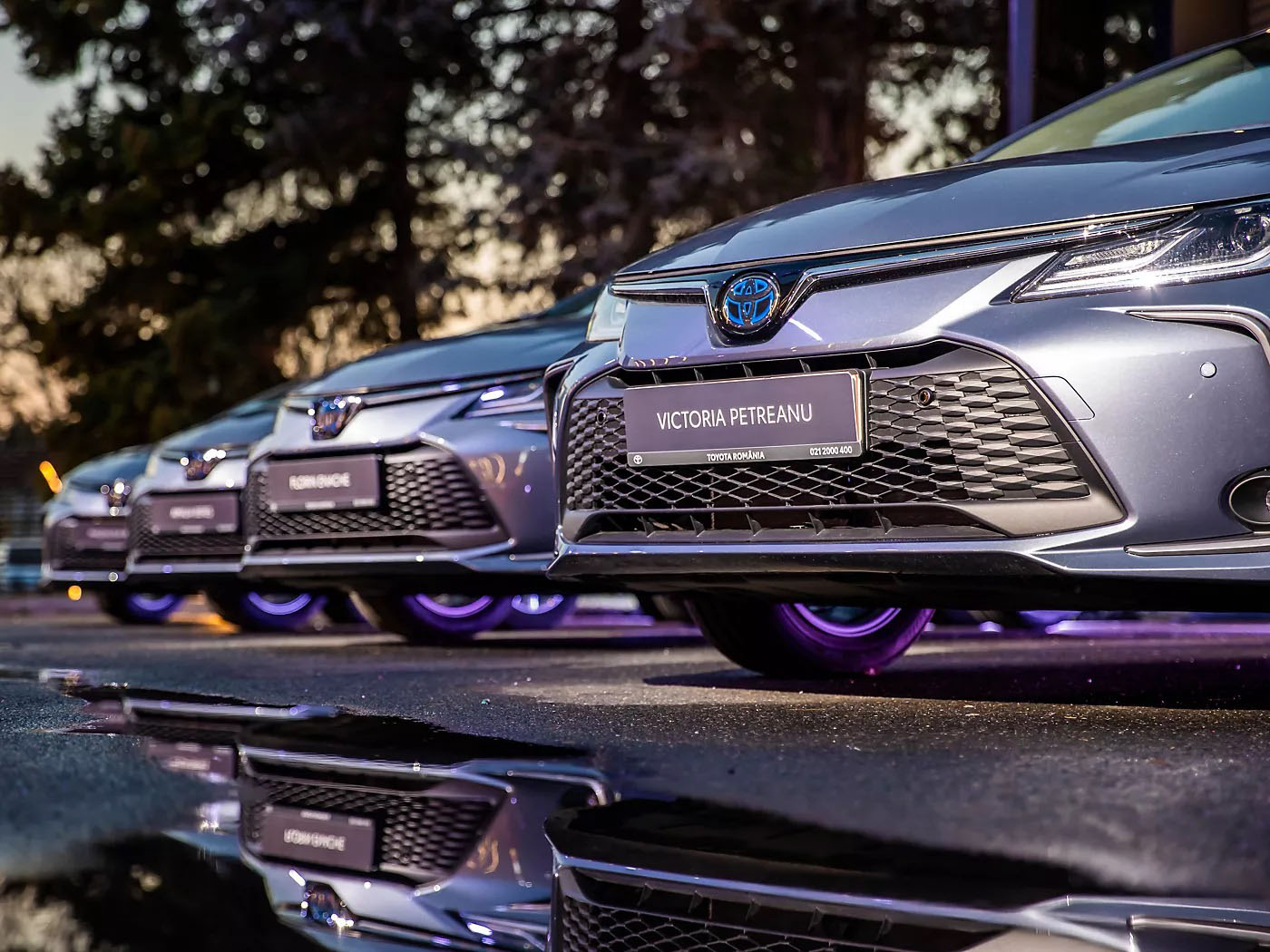 masini Toyota olimpici