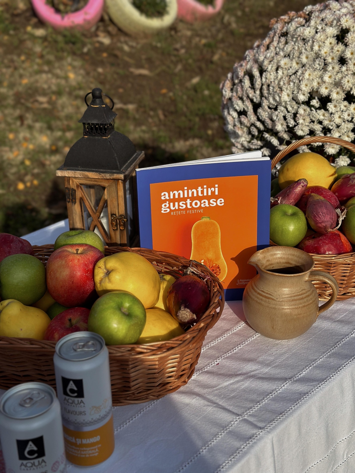 Amintiri Gustoase Foto Alexandra Todica