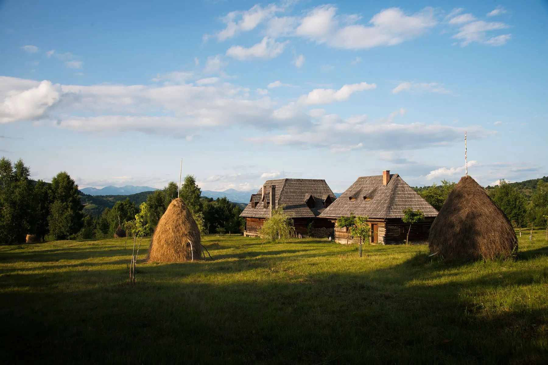 Un domeniu de 94 de hectare, scos la vânzare în Maramureș