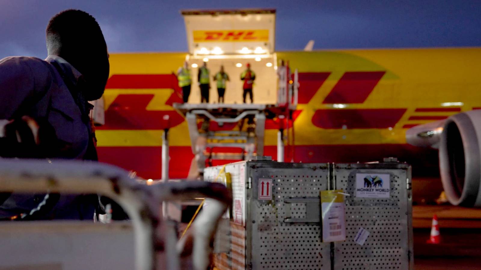 Care au fost cele mai neobișnuite expedieri livrate de DHL în 2024