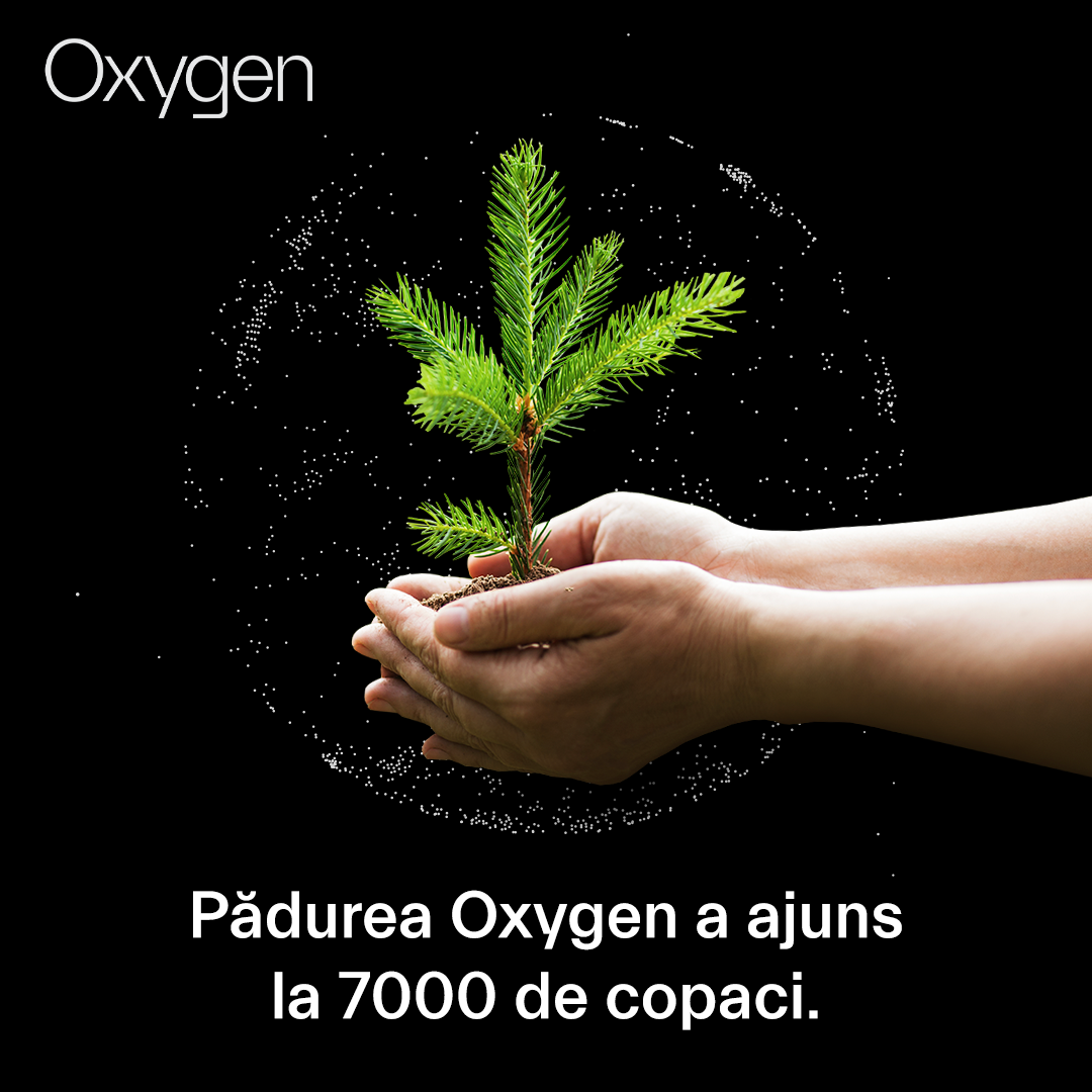 Pădurea Oxygen ajunge la 7.000 de copaci