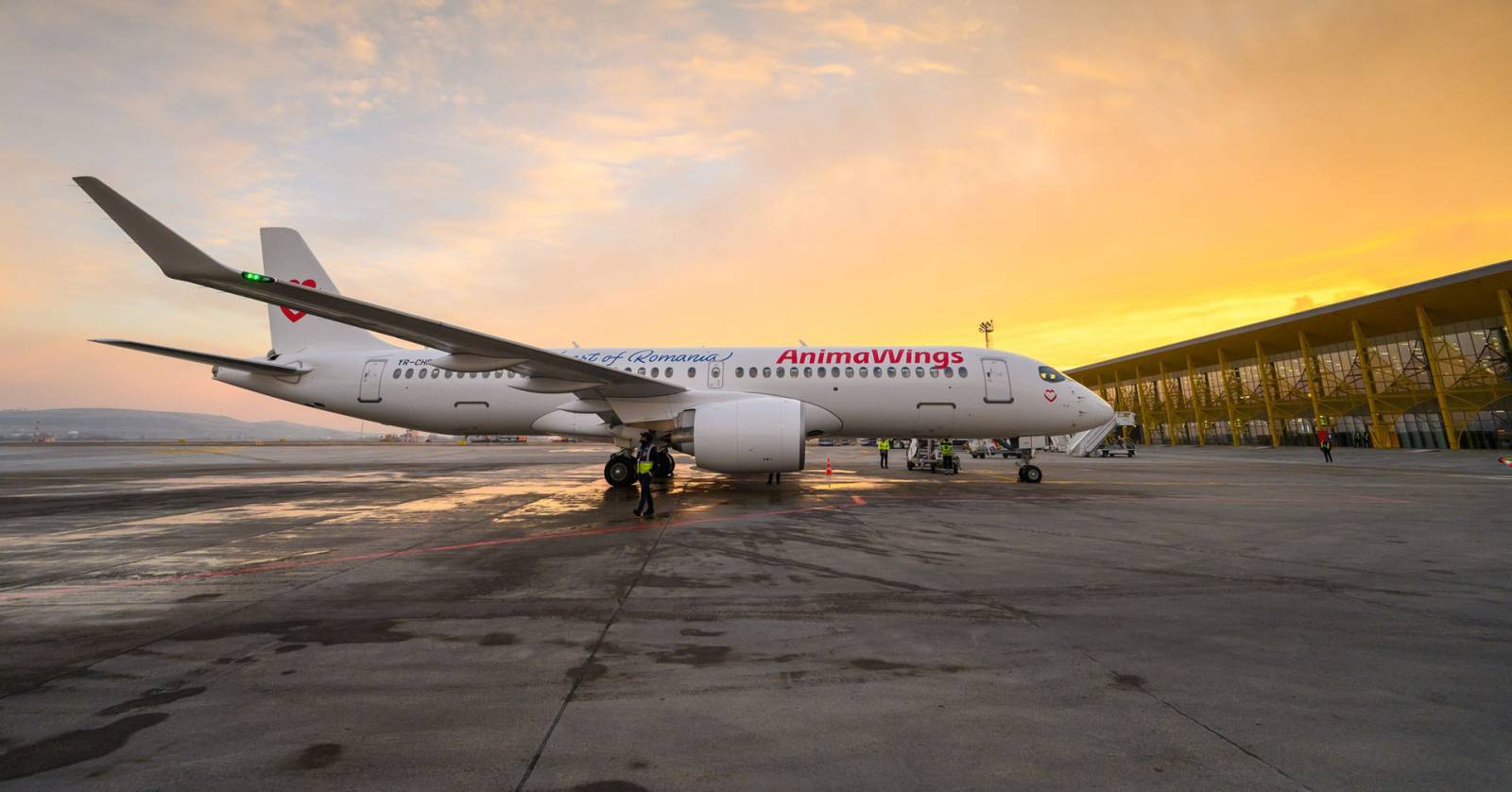AnimaWings - Cluj-Napoca