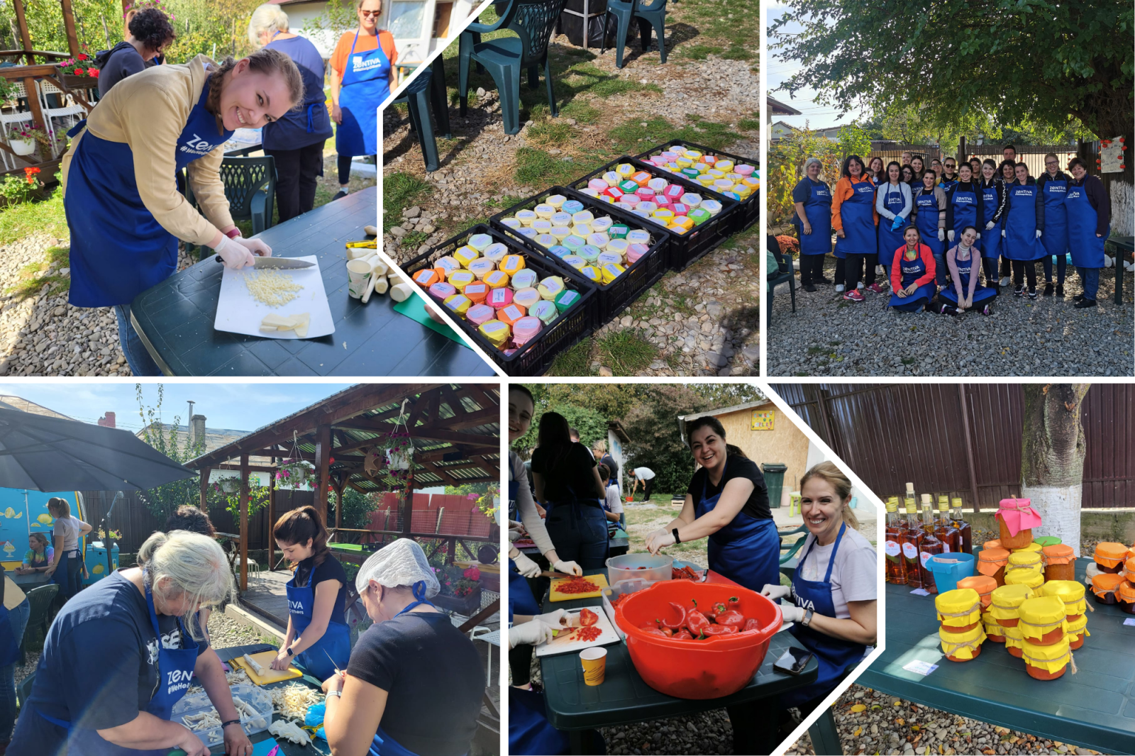 Colaj Camara Copiilor