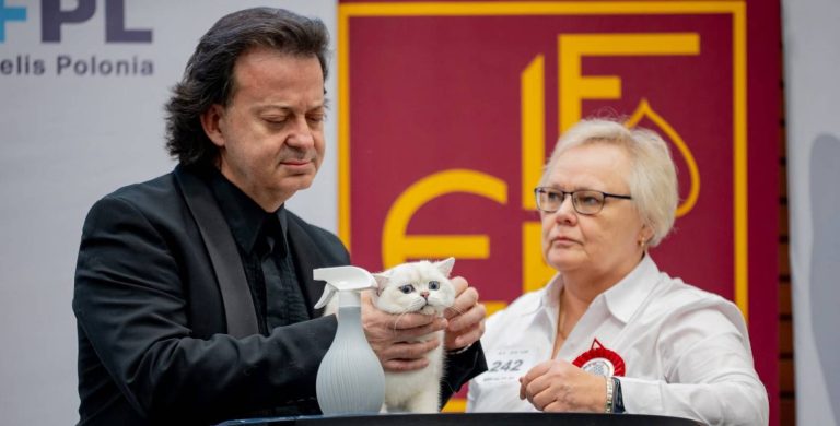 sofisticat2025 4 e1740732760587