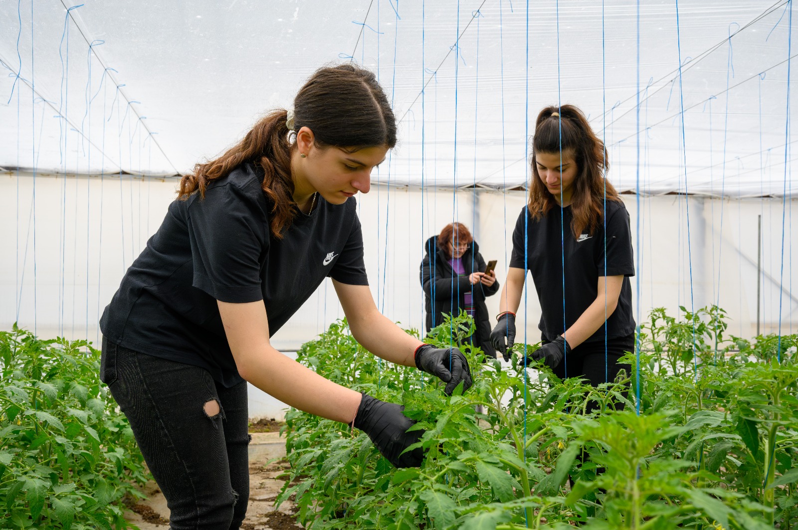 3 din 4 firme din agricultură sunt gata să sprijine formarea elevilor
