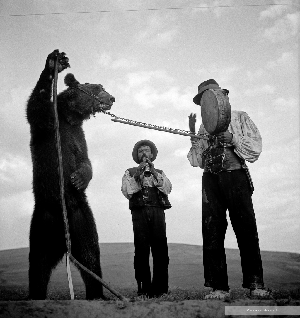 Cea mai amplă expoziție Lee Miller din România s-a deschis în Viscri Casa Regelui Charles al III-lea 2 Copyright LeeMillerArchives Dancing bears with Roma trainers Romania 1938