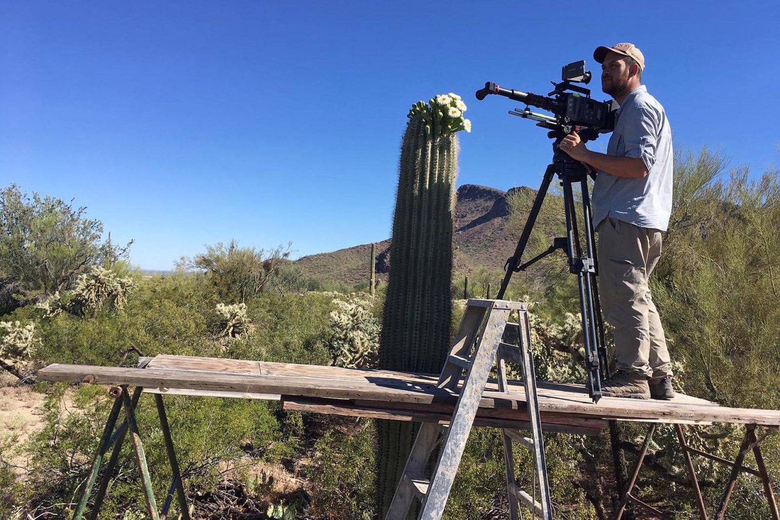 Making of Cactus Hotel 02