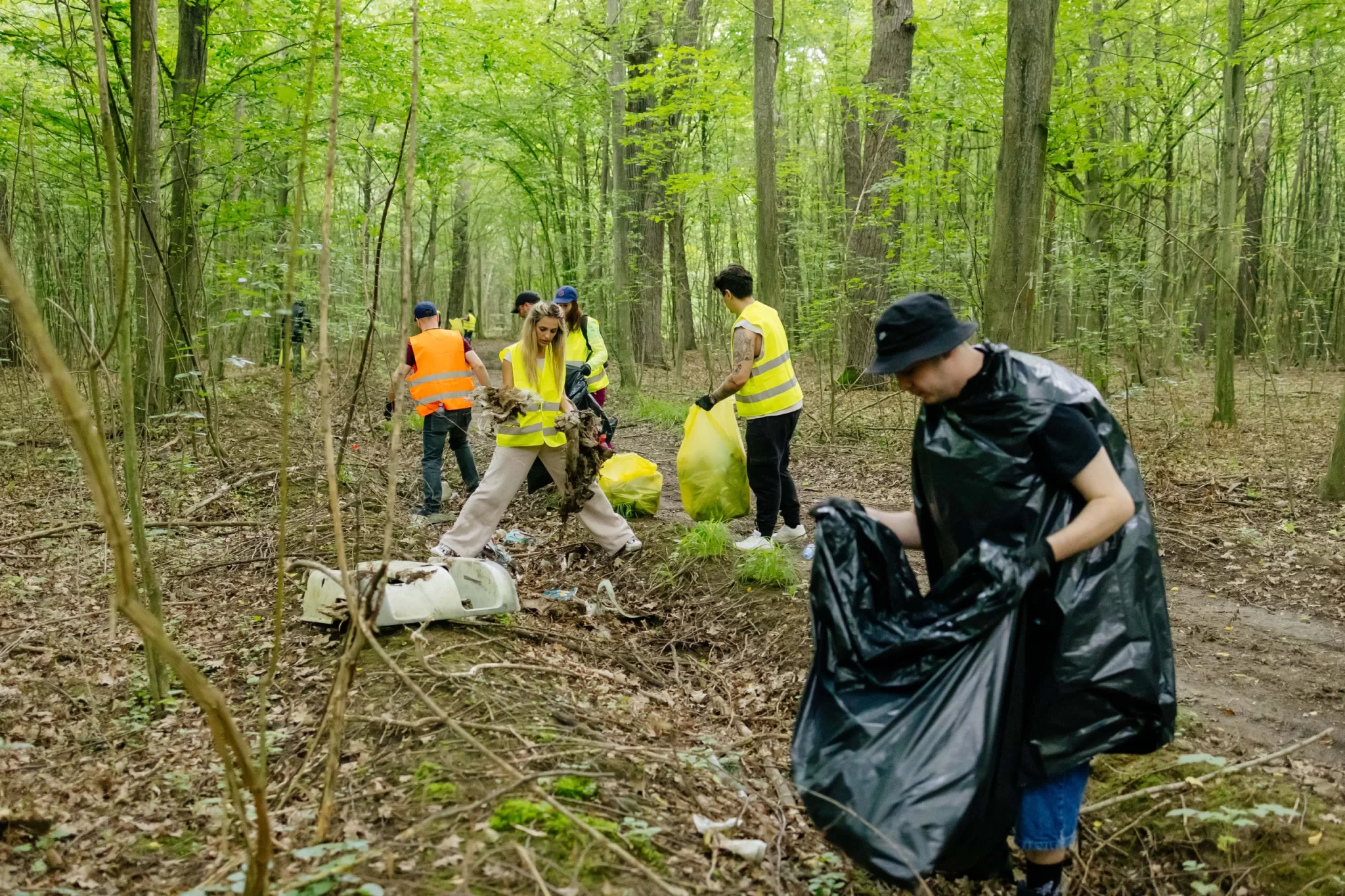 Peste 15 tone de deșeuri au fost colectate în cadrul campaniei de ecologizare a BAT România în pădur...