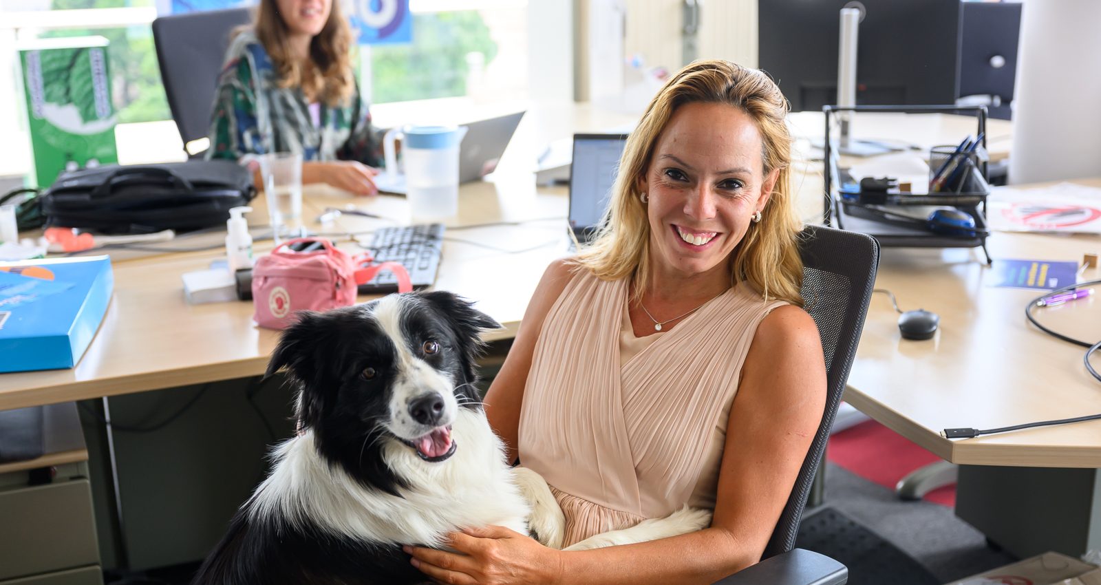 Cum poate crește performanța unei companii cu birouri pet-friendly