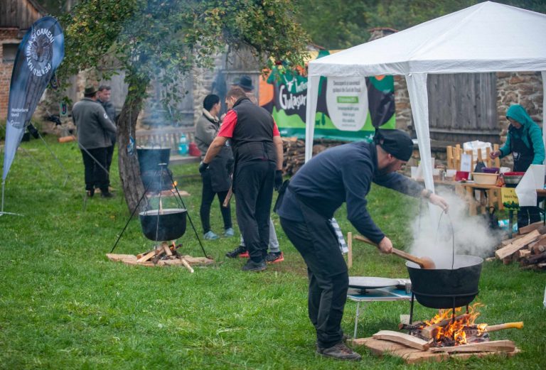 Intrecerea Gulasurilor Andrei Alexandru Popa 5