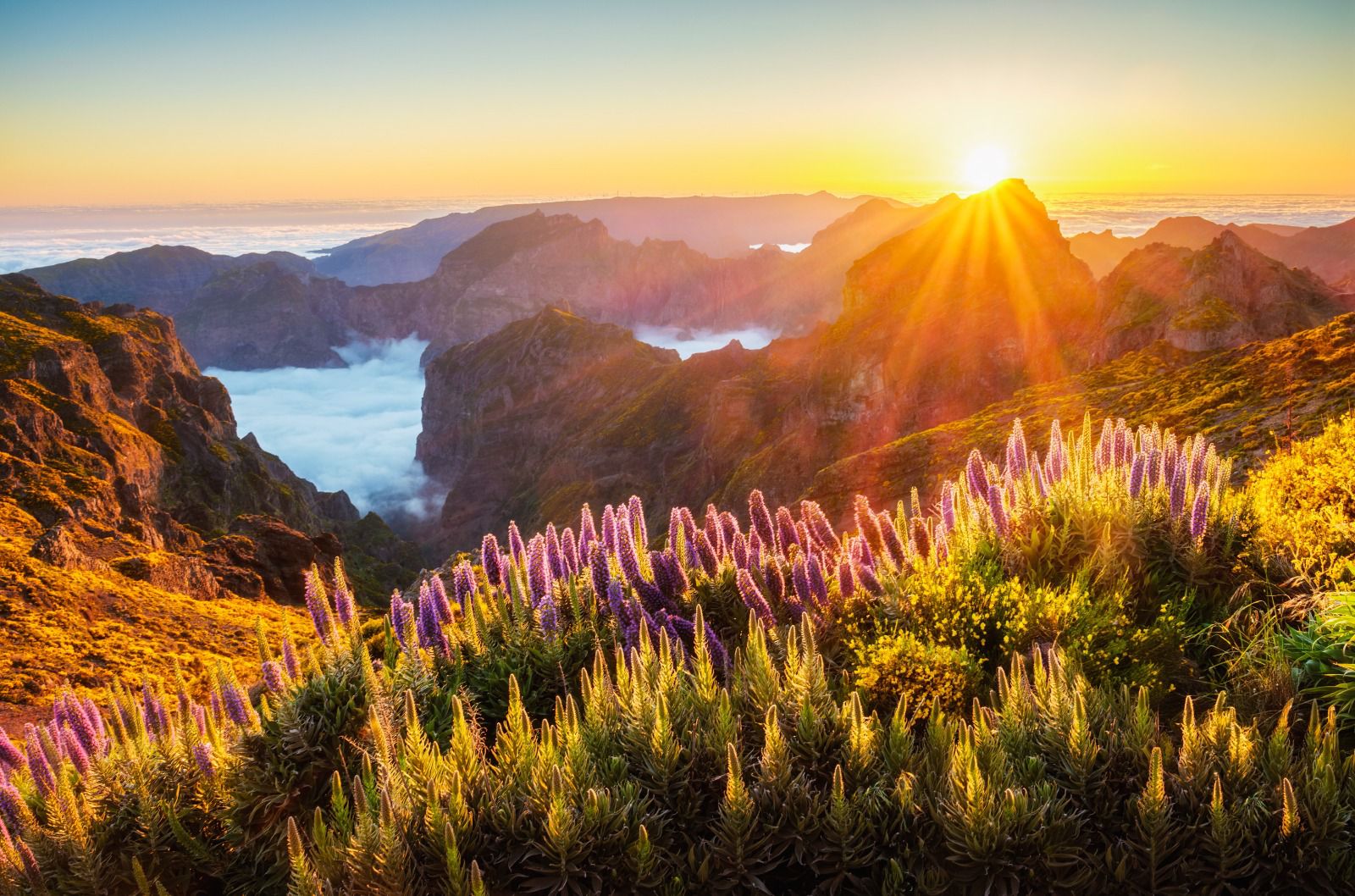 Turiștii își rezervă vacanțele preponderent online, în iunie și iulie. Madeira, destinația preferată