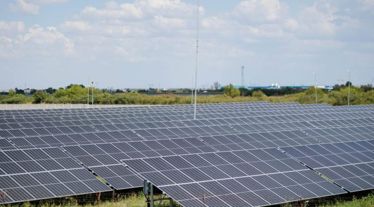 Coca-Cola - parc fotovoltaic Timisoara