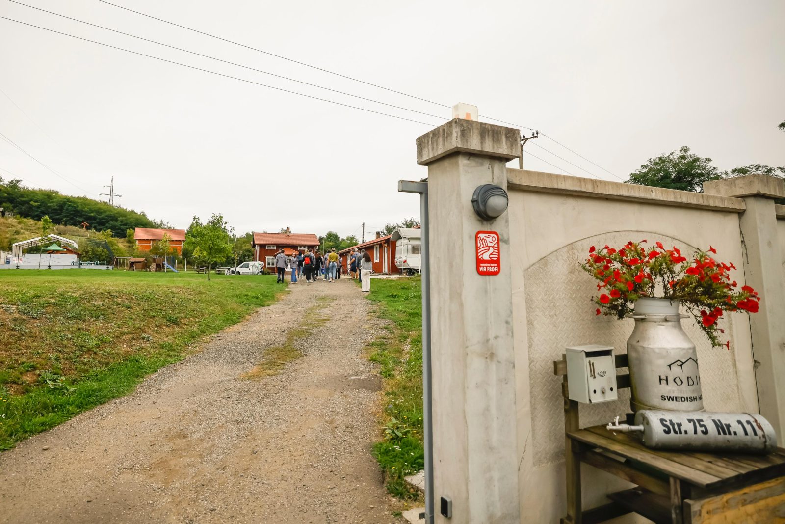 Via Profi: În căutarea gustului autentic 9 Via Profi 2025
