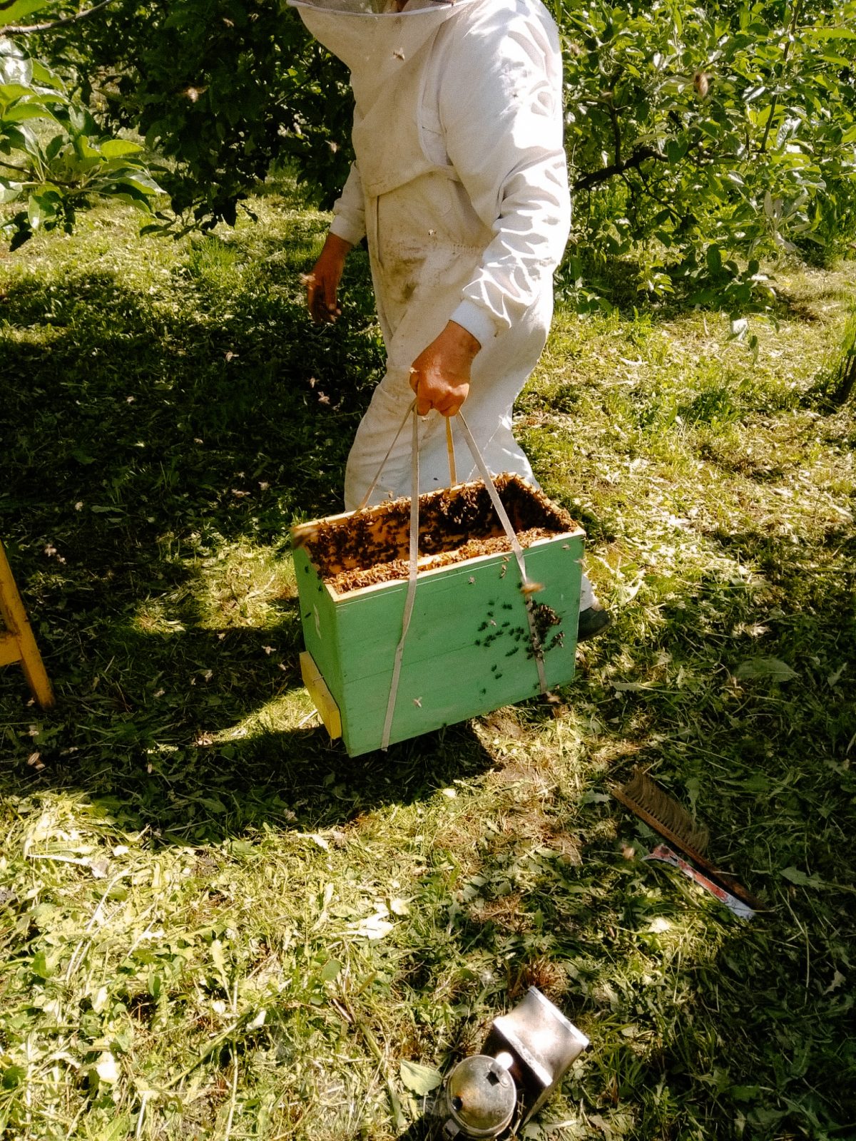 f90230ed 8b9c 47c2 ac1d aecb0ad78a64 2