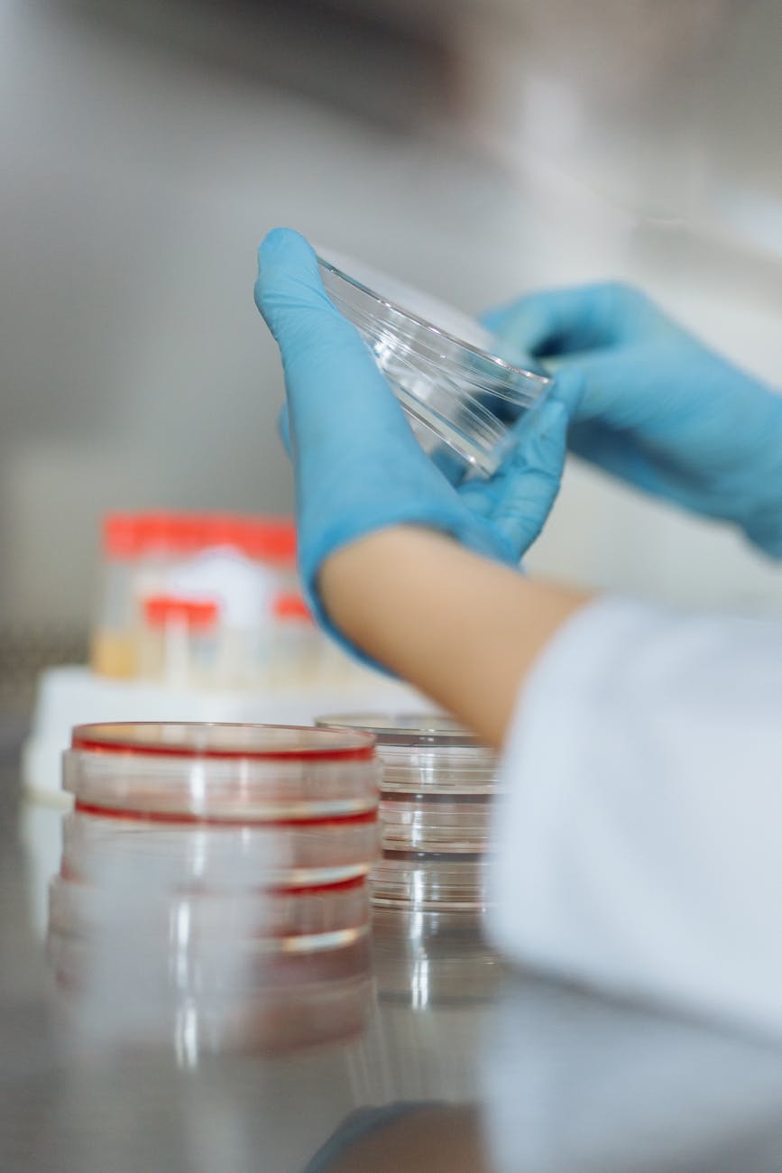 a person in latex gloves holding petri dishes