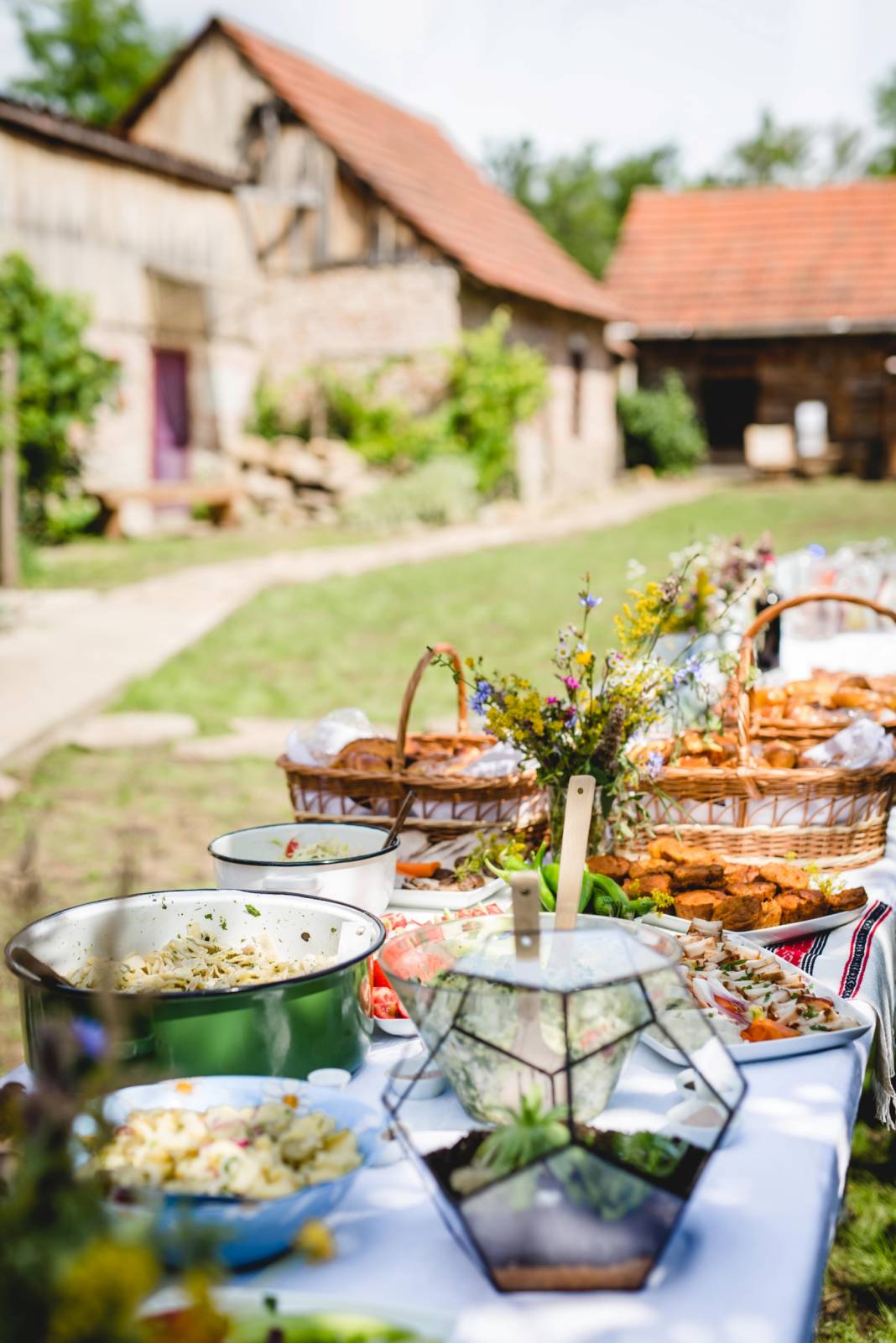Comunitățile din Colinele Transilvaniei își deschid porțile: „HAI în Coline”, weekendul care lansează sezonul de turism rural 2 Hai in Colinele Transilvaniei 2
