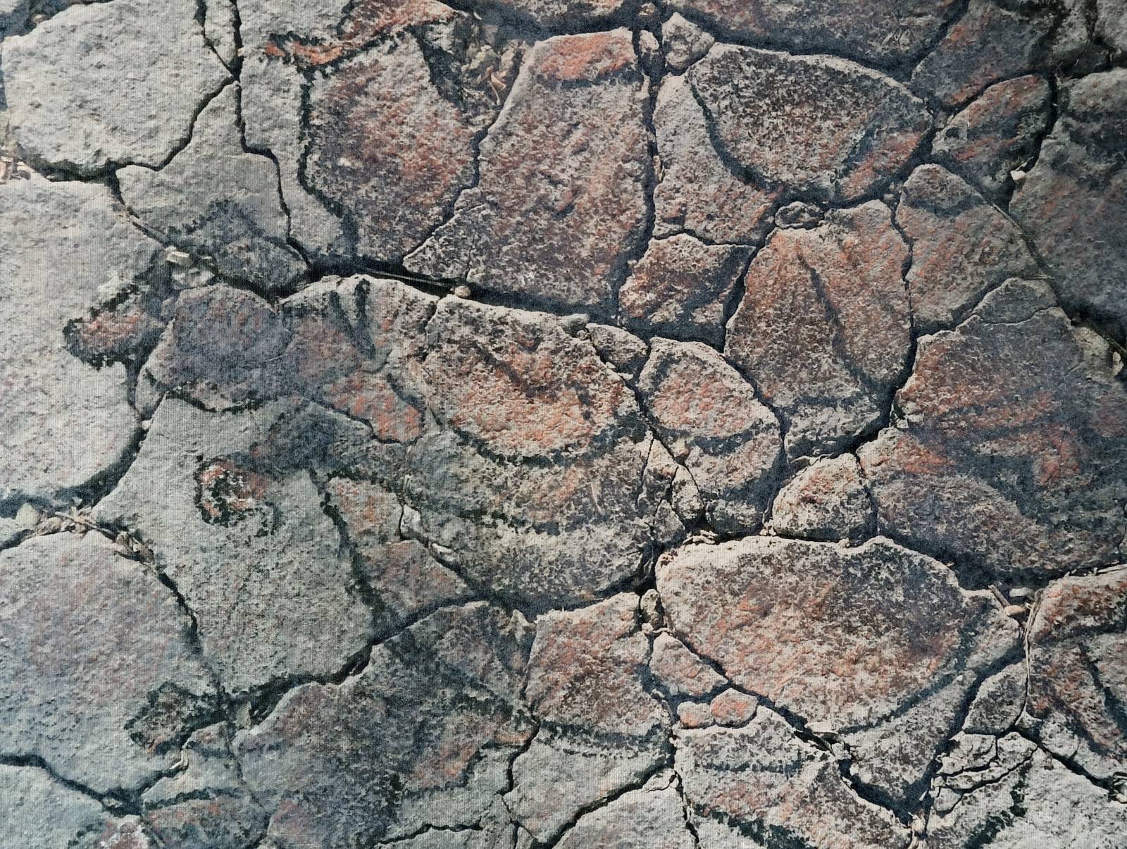 „Timp înghețat” – expoziție de grafică și fotografie contemporană la Palatele Brâncovenești 1 Rebecca Manescu