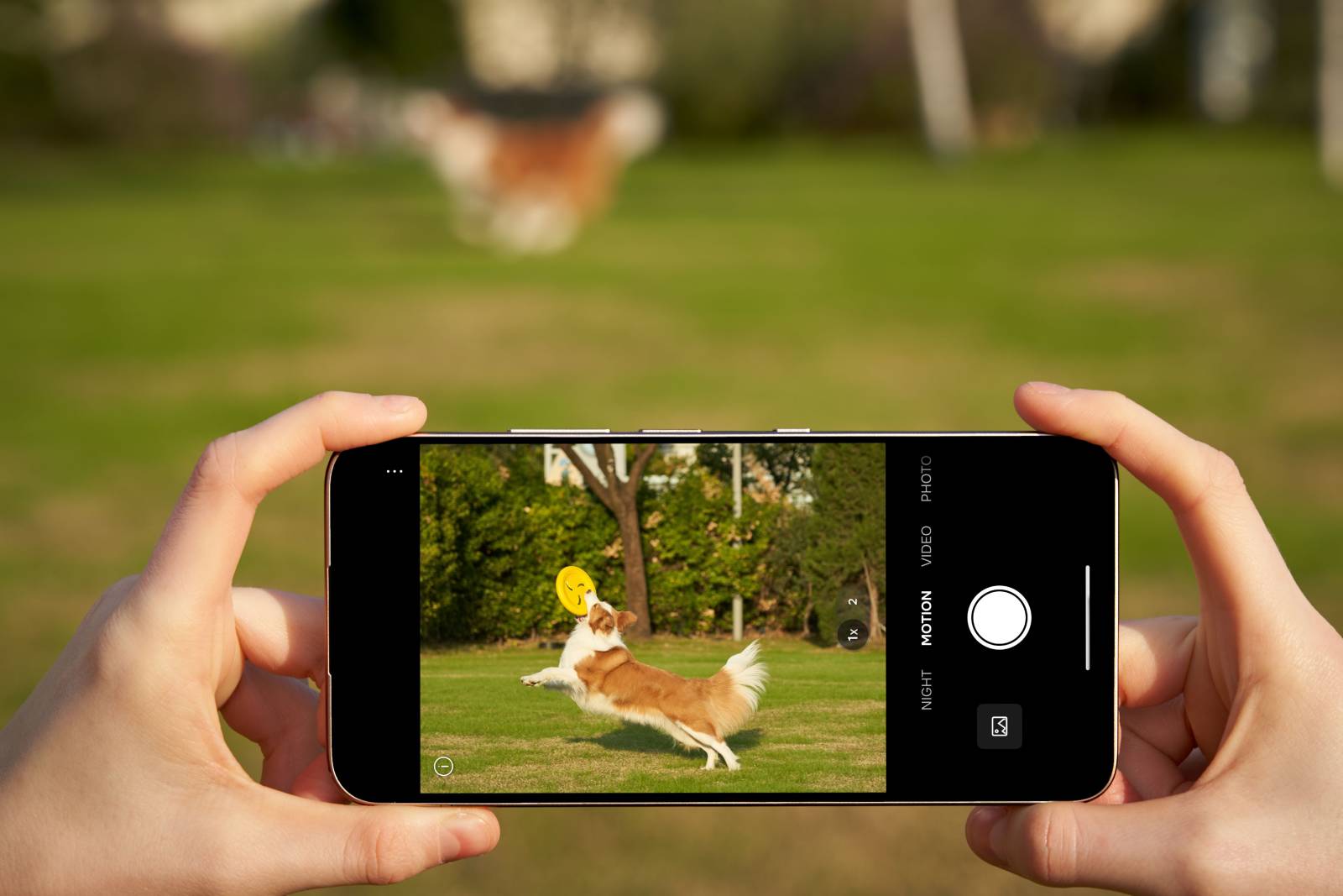 TCL Nxtpaper 70Pro 1